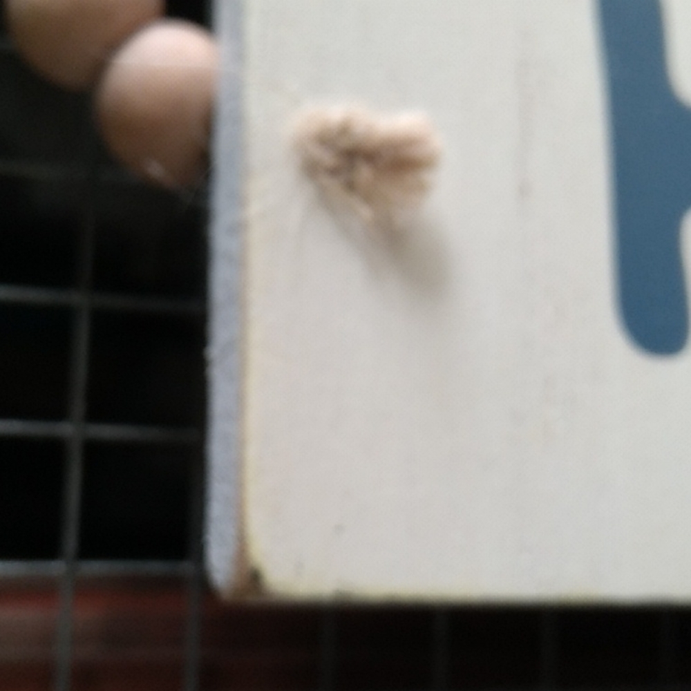 New Wooden Home Sign - Picture 8 of 9